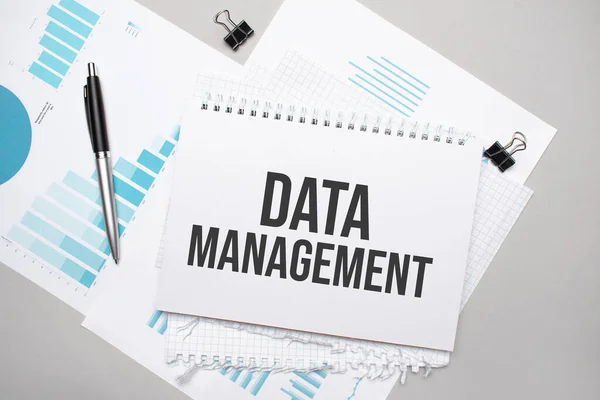 Data Management Yazılı Kağıt Tabak Diyagram Defteri Mavi Arkaplan — Stok fotoğraf