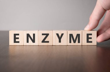 Kelime enzimi ile ahşap küpü elle çevirin. Hayat sigortası ve sağlık konseptine yatırım