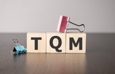 İş kadını ahşap yapı taşlarıyla ilgili bir söz söyledi..