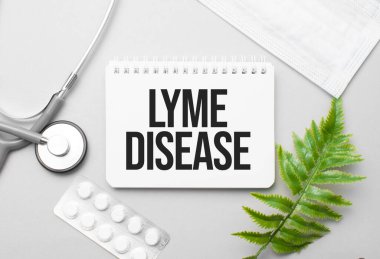 Lyme Hastalığı kelimesi defter, steteskop ve yeşil bitki üzerine