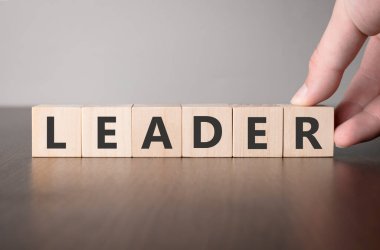 Kelime liderli ahşap küpü elle çevir. Hayat sigortası ve sağlık konseptine yatırım