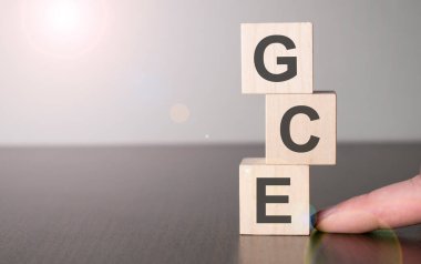 İş kadını, ahşap yapı taşlarıyla haber uçurdu..