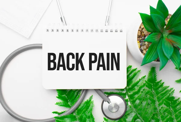 Back Pain Word Notebook Stethoscope Green Plant — Stock Photo, Image