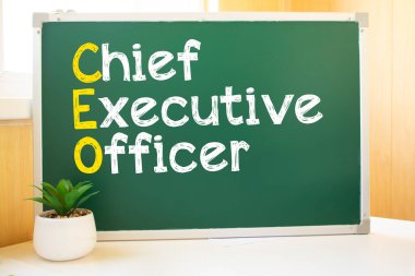 Okul yönetiminin CEO 'su, arama motoru optimizasyonu ve web siteleri. Masa, süpürülmüş kağıt topları, bilgisayar klavyesi