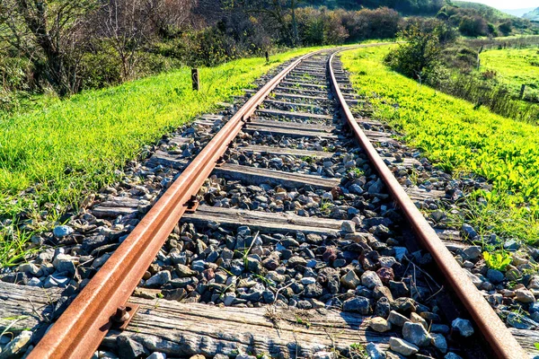 Oude Afgedankte Spoorlijnen Omgeven Door Gras Bomen — Stockfoto