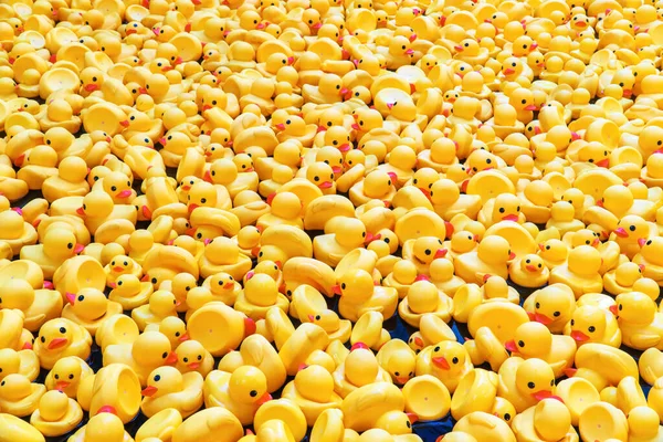 Yüzme Havuzunda Sarı Lastik Ördekler Çocukluk Yaşam Tarzları Özellikleri Için Telifsiz Stok Imajlar