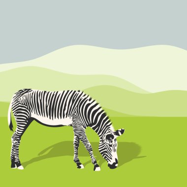 Zebra otlatma illüstrasyon.