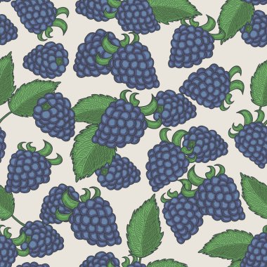 Doodle böğürtlen seamless modeli