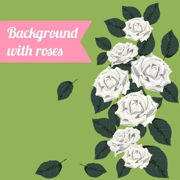 Fond coloré avec des roses blanches — Image vectorielle