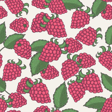 elle çizilmiş ahududu seamless modeli