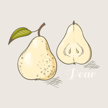 Sarı armut vektör çizim