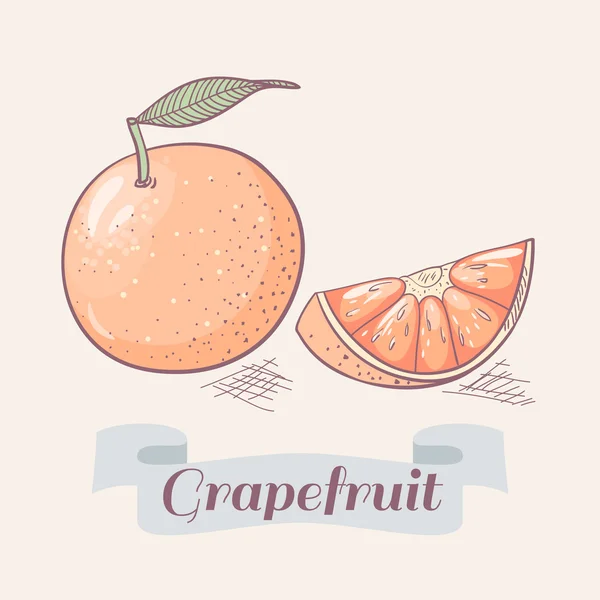 Grapefruktvektorillustration — Stock vektor