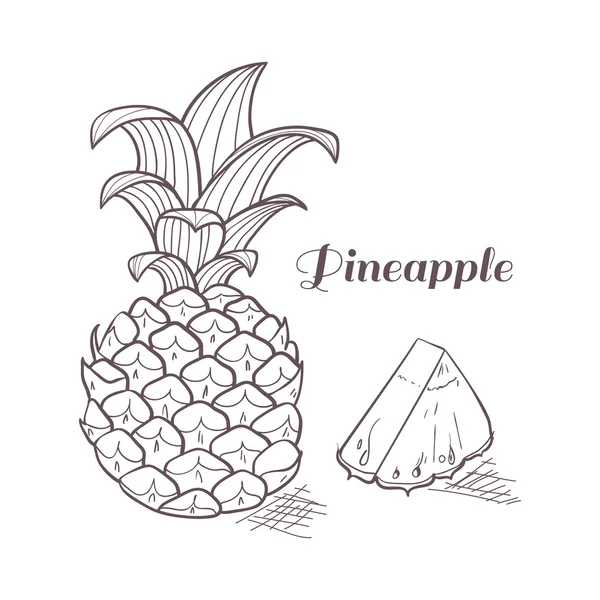 Gravure de l'ananas dans le vecteur — Image vectorielle