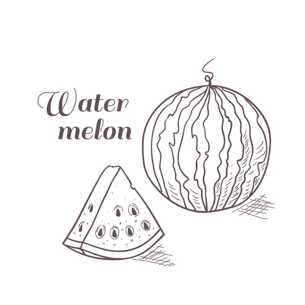 Vektor illustration av graverade vattenmelon — Stock vektor