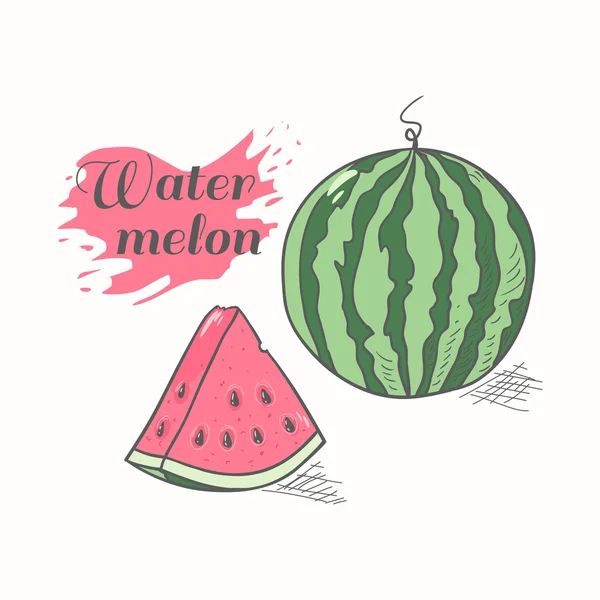 Vectorillustratie van sappige watermeloen — Stockvector