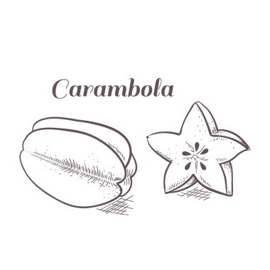 Oyma carambola vektör