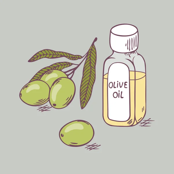 Olivenöl in Flasche mit Zweig in Großaufnahme. Doodle-Illustration — Stockvektor