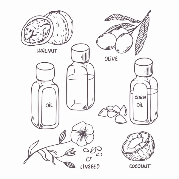 健康食用油中大纲样式设置。椰子、 核桃、 橄榄、 玉米、 亚麻籽 — 图库矢量图片