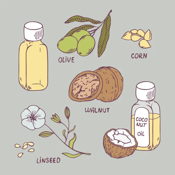 Gesundes Öl gesetzt. Kokosnuss, Walnuss, Oliven, Mais und Leinsamen — Stockvektor