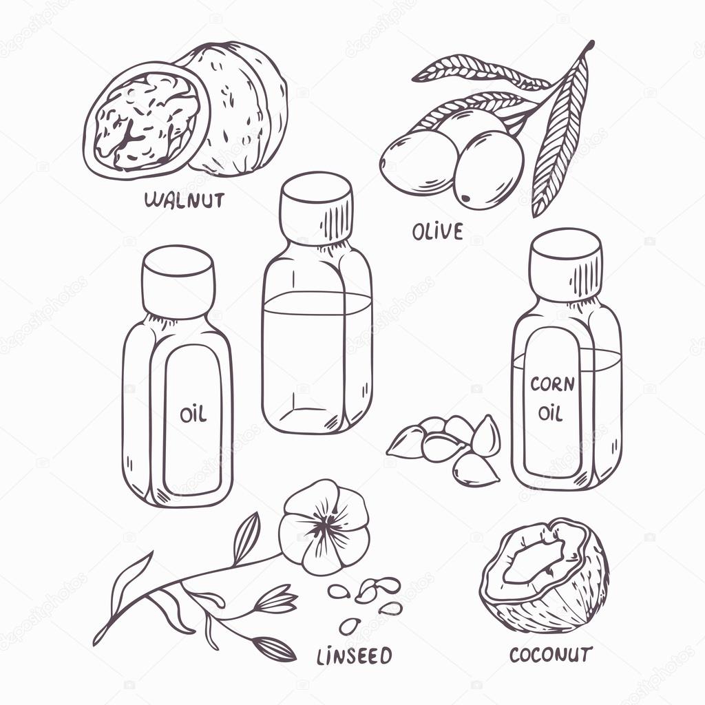 Healthy oil set in outline style. Coconut, walnut, olive, corn and