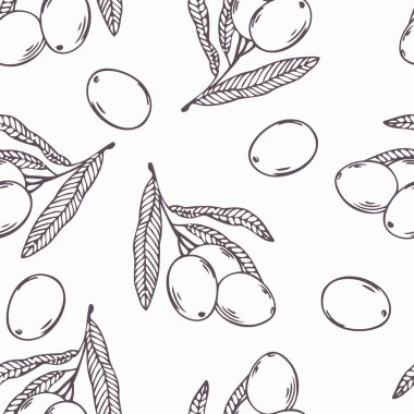Zeytin dalı seamless modeli anahat. Doodle gıda
