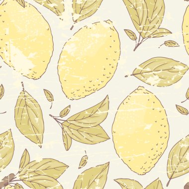 elle çizilmiş limon ve yaprakları.