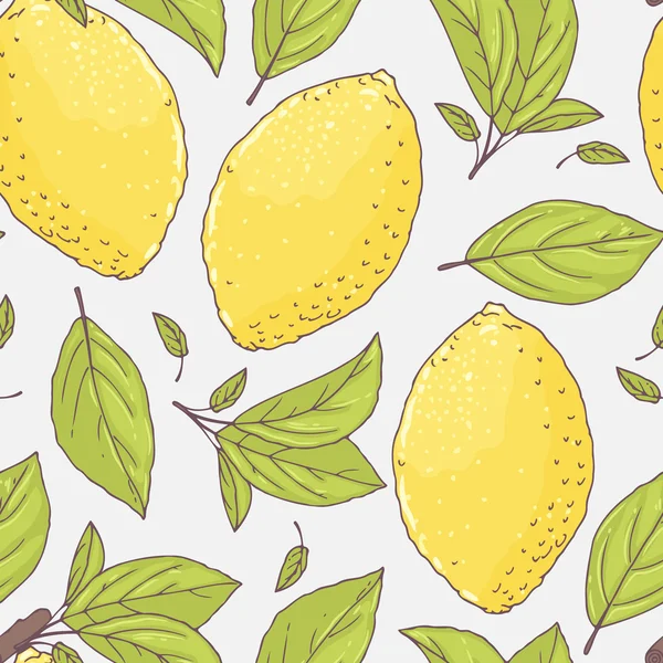 Elle çizilmiş limon ve yaprakları. — Stok Vektör