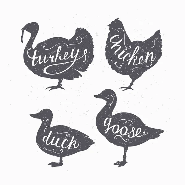 Conjunto de siluetas de aves de granja estilo hipster dibujadas a mano. Pollo, pavo, ganso, letras de carne de pato — Archivo Imágenes Vectoriales
