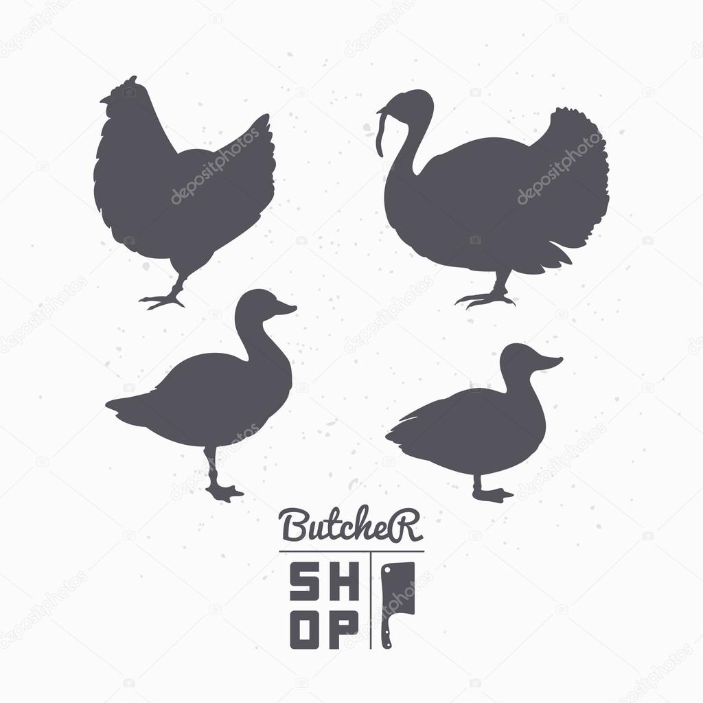 Set of farm birds silhouettes. Chicken, turkey, goose, duck meat. Butcher shop logo template for craft food packaging or restaurant design. Vector illustration