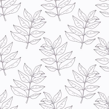 Hand drawn curry leaves and branch outline seamless pattern