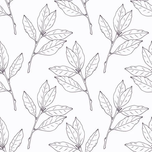 Hand drawn bay leaf and branch outline seamless pattern — Stok Vektör