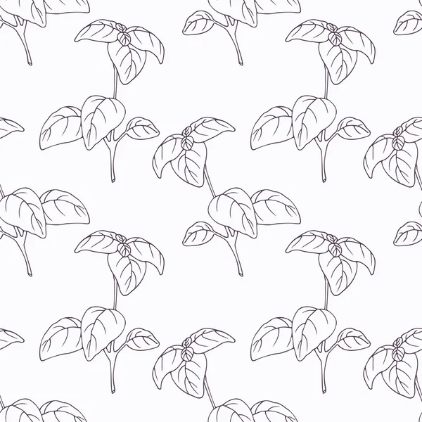 Hand drawn basil branch outline seamless pattern — 스톡 벡터