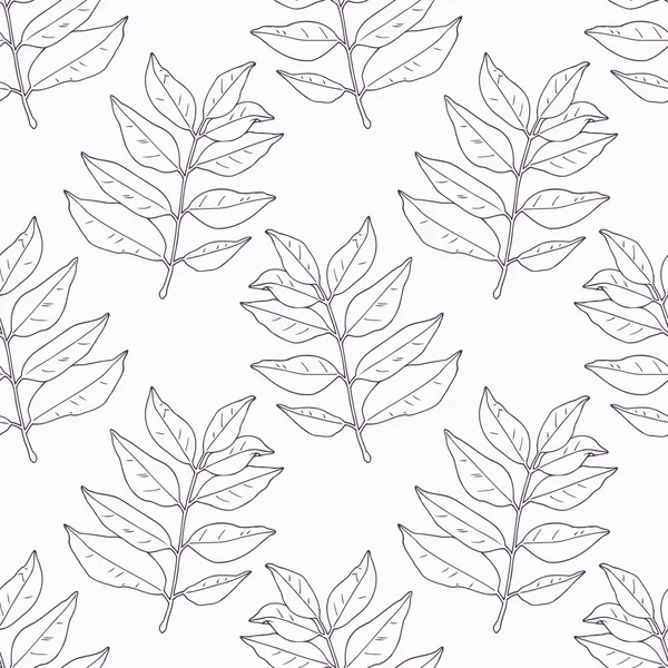 Hand drawn curry leaves and branch outline seamless pattern — 스톡 벡터