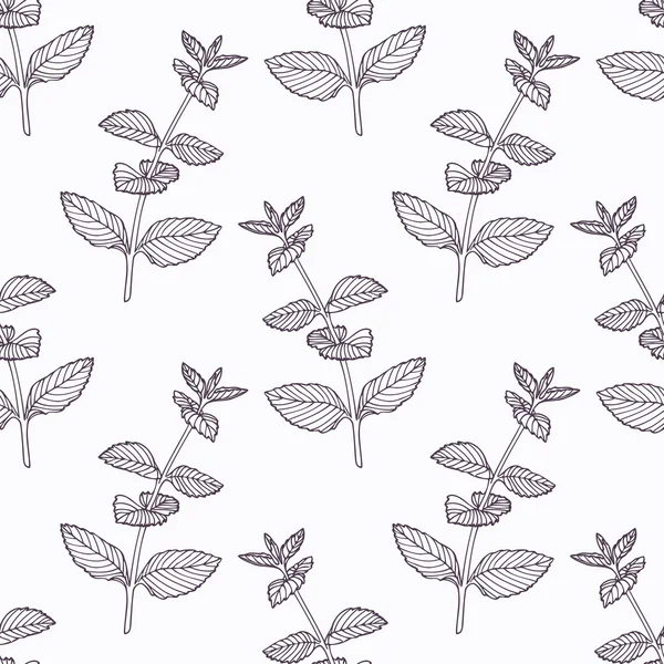Hand drawn mint branch outline seamless pattern — 스톡 벡터