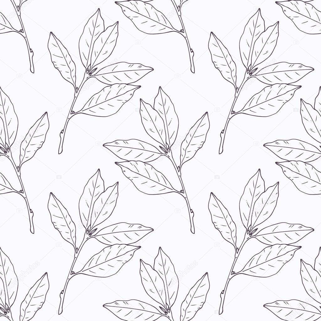 Hand drawn bay leaf and branch outline seamless pattern