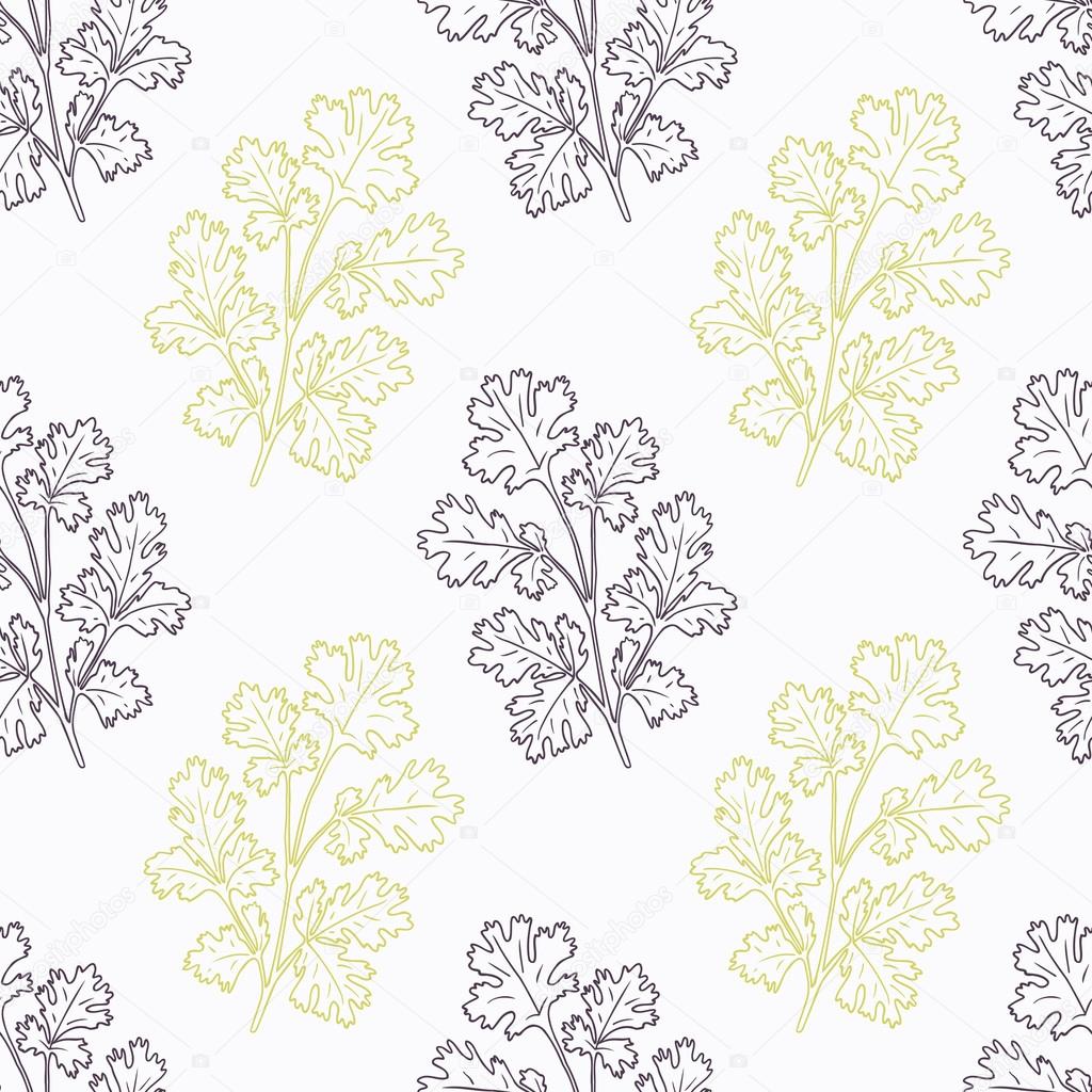 Hand drawn cilantro branch stylized black and green seamless pattern