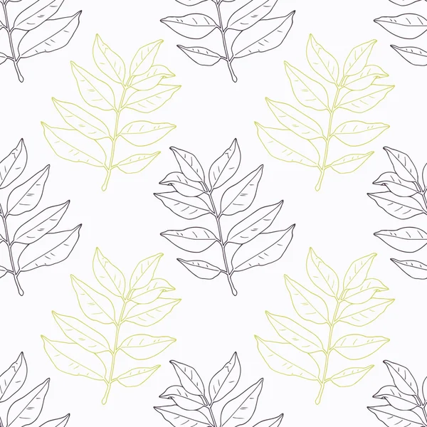 Hand drawn curry leaves and branch outline seamless pattern — 스톡 벡터