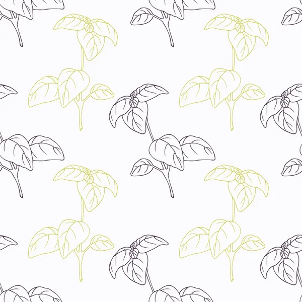 Hand drawn basil branch stylized black and green seamless pattern — Stok Vektör