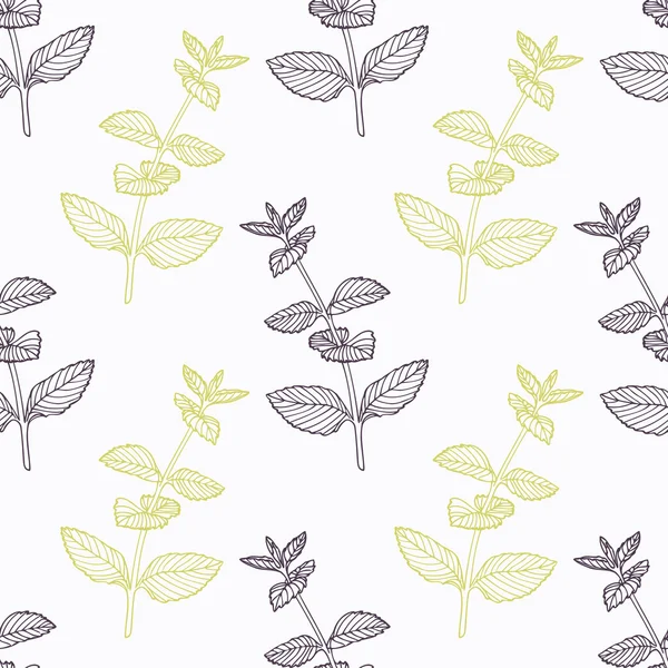 Branche de menthe dessinée à la main stylisée motif sans couture noir et vert — Image vectorielle