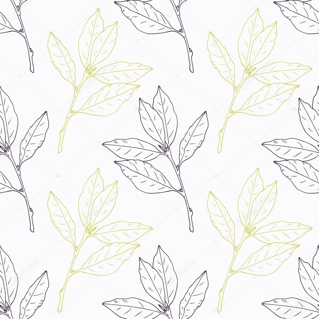 Hand drawn bay leaf and branch stylized black with green seamless pattern