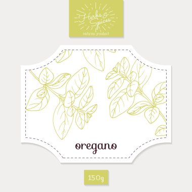 Ürün etiketi elle çizilmiş kekik yaprakları ile. Baharatlı otlar tasarım ambalaj