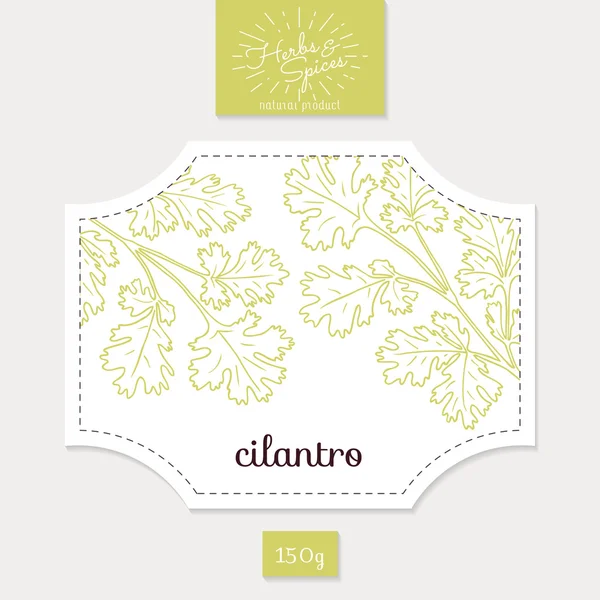Product sticker with hand drawn cilantro or coriander leaves. Spicy herbs packaging design — Stock Vector