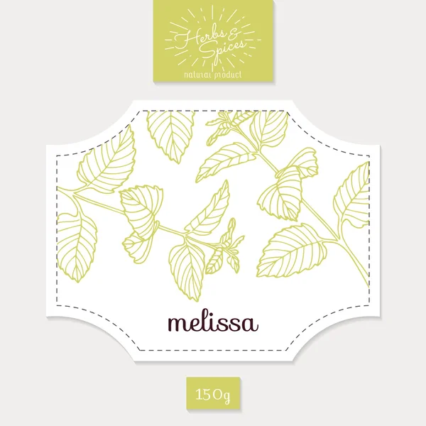 Product sticker with hand drawn melissa leaves. Spicy herbs packaging design — Stock Vector