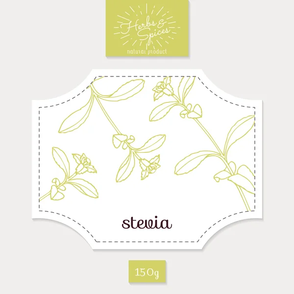 Product sticker with hand drawn stevia leaves. Spicy herbs packaging design — Stock Vector