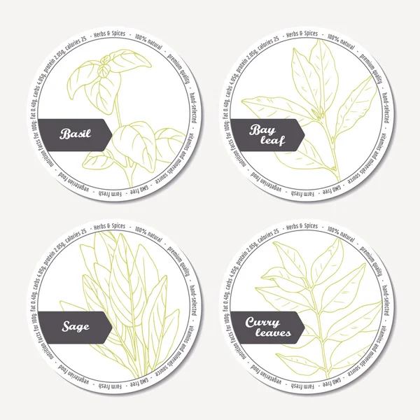 Set of stickers for package design with sage, bay leaf, basil, curry — Stock Vector