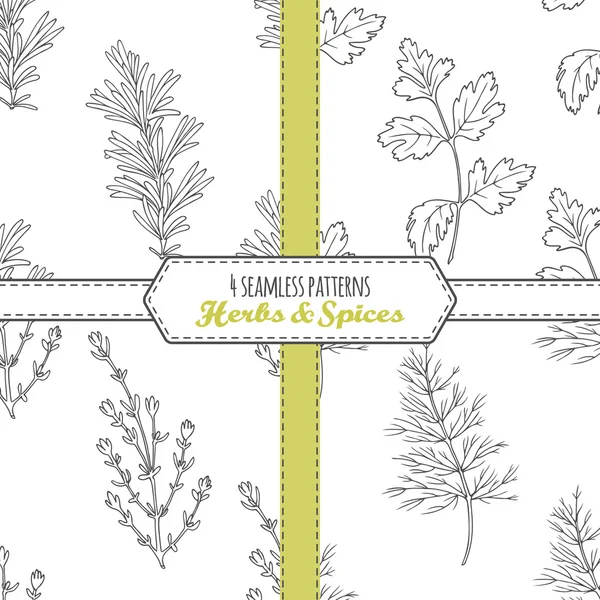 Hand drawn seamless patterns collection with rosemary, parsley, dill, thyme — Stock Vector