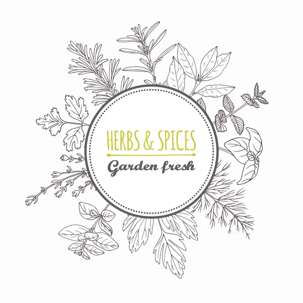 Étiquette circulaire avec herbes et épices dessinées à la main. Assaisonnements de style contour — Image vectorielle