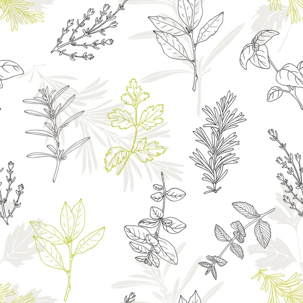 Modèle sans couture avec des herbes épicées dessinées à la main. Fond de cuisine culinaire — Image vectorielle