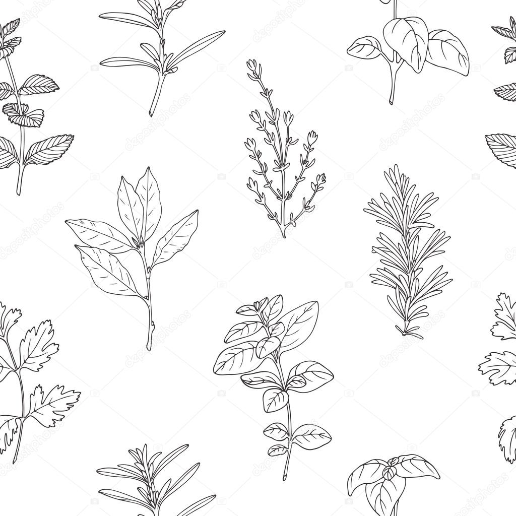 Seamless pattern with hand drawn spicy herbs. Monochrome kitchen background