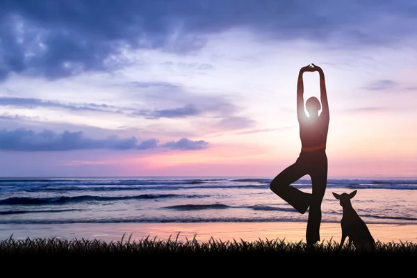 Junge Frau praktiziert Yoga — Stockfoto